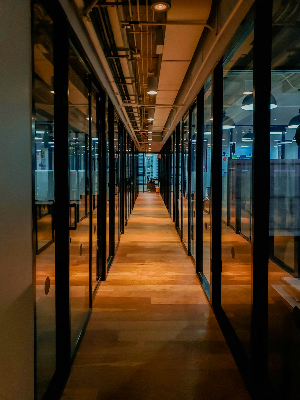 Feature lighting installation in a commercial interior